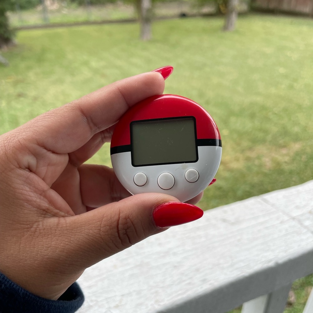 Used Pokewalker Nintendo DS